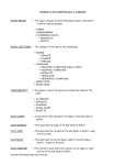 General Plant Morphology Summary