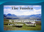 Tundra Powerpoint – Chloe and Kurt