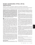 Genetic transformation of HeLa cells by Agrobacterium - igem