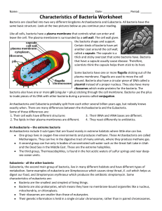 Characteristics of Bacteria Worksheet