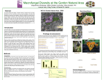 Macrofungal Diversity at the Gordon Natural Area