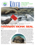 saving the hawaiian monk seal - Conservation Council for Hawai`i