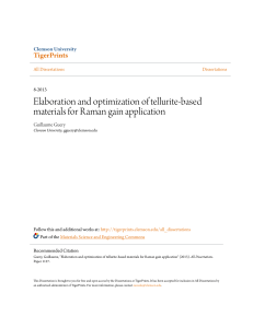 Elaboration and optimization of tellurite-based