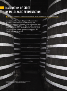 maturation of cider by malolactic fermentation