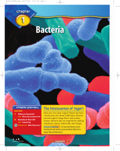 B: Chapter 1: Bacteria