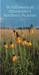 wildflowers of minnesota`s northern prairies