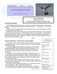 Hummingbird Herald
