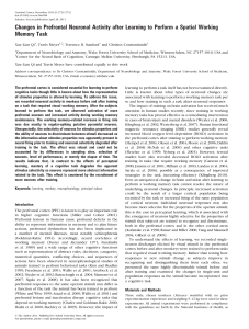 Changes in Prefrontal Neuronal Activity after