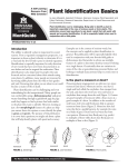Plant Identification Basics - MSU Extension Publications