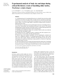 Experimental analysis of body size and shape during critical life