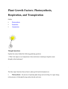 Plant Growth Factors: Photosynthesis, Respiration, and Transpiration