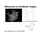 Ribosomes as Antibiotic Targets Ribosomes as
