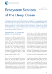 Ecosystem Services of the Deep Ocean