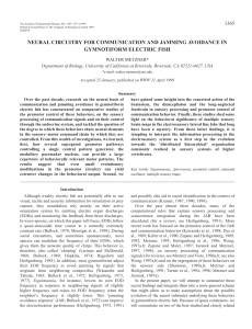 Gymnotiform JAR and communication