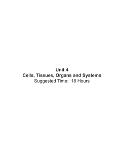 Unit 4 Cells, Tissues, Organs and Systems Suggested Time: 18 Hours