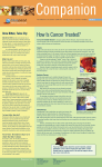 How Is Cancer Treated?