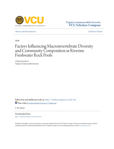 Factors Influencing Macroinvertebrate Diversity and Community