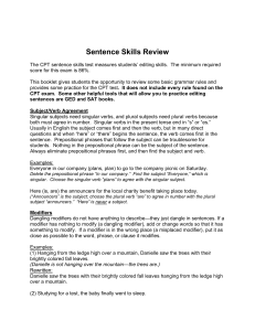 Sentence Skills Review