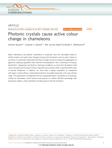 Photonic crystals cause active colour change in chameleons