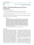 DLG5 in Cell Polarity Maintenance and Cancer Development