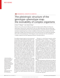 The pleiotropic structure of the genotype–phenotype