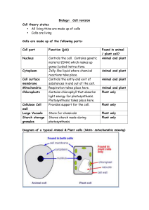 Biology Cell revision