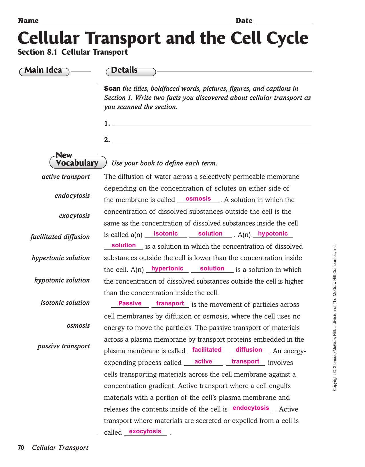 Transport In Cells Worksheet Answers - Promotiontablecovers In Cellular Transport Worksheet Answers