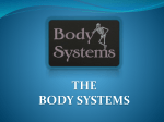 the body systems