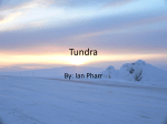 Tundra - etowah-biology-pd6