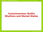 Consciousness PowerPoint