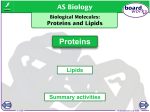 Proteins - Mr Waring`s Biology Blog