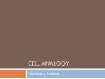 Cell Analogy