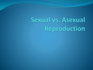 Sexual vs. Asexual Reproduction