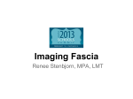 Imaging Fascia