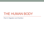 The Human Body - AdventuresinScienceEducation
