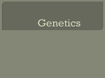 Genetics