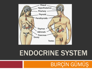 Endocrin system