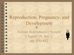 Female Reproduction - White Plains Public Schools