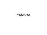 Nucleotides