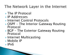 The Network Layer in the Internet