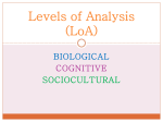 Levels of Analysis (LoA) - rcook