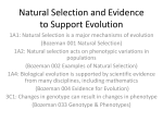 Natural Selection and Evidence to Support Evolution