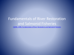 Fundamentals of River Restoration and Salmonid Habitat (*)