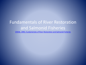 Fundamentals of River Restoration and Salmonid Habitat (*)