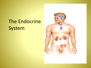 thyroid releasing hormone