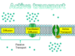 Active transport