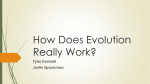 How Does Evolution Really Work?