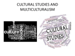 Cultural Studies (pptx, it, 133 KB, 12/4/13)