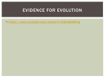 Phylogenetics