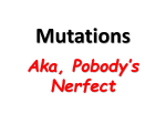 Ch. 8 Mutations